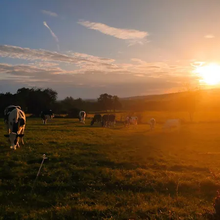 公寓 With Beautiful Views Near 杜柏