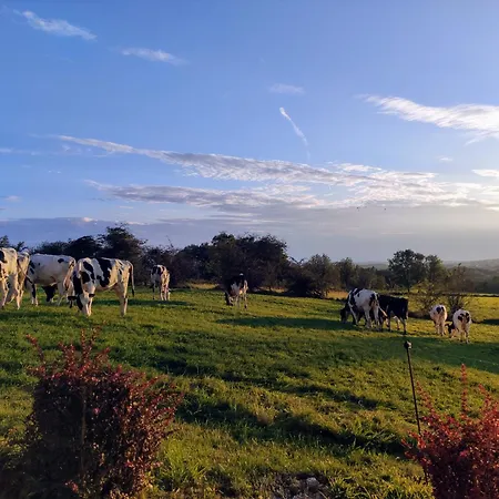 With Beautiful Views Near